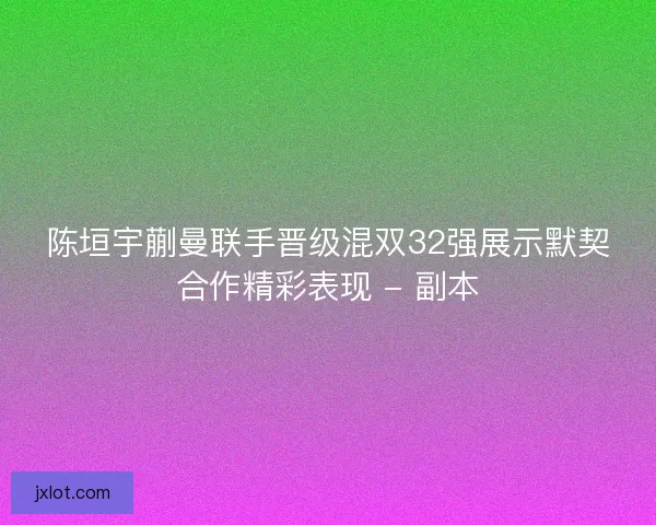 陈垣宇蒯曼联手晋级混双32强展示默契合作精彩表现 - 副本